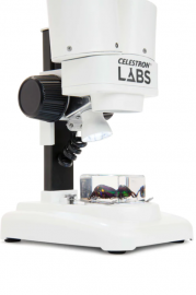 2022-06-24 20_33_49-‪44207_S20_stage_specimen_570x380@2x.jpg (507×760)